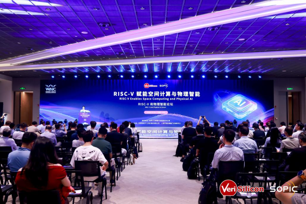 国产芯片三区突破：risc-v引领一区二区物理智能视频计算新纪元